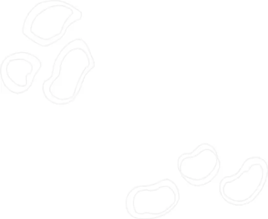 Agendar visita masoterapia - fondo