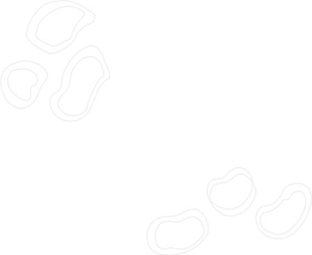 Contacto Anami Masoterapia